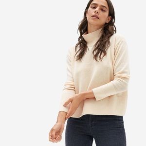 Everlane The Cashmere Square Turtleneck